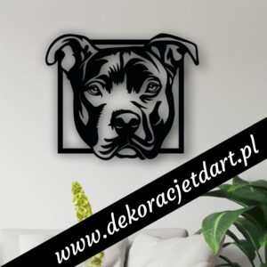 PIT BULL AMSTAFF 01 w ramce