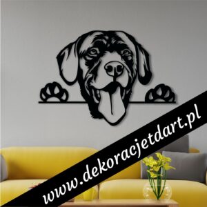 Dekoracje ścienne labrador z łapkami