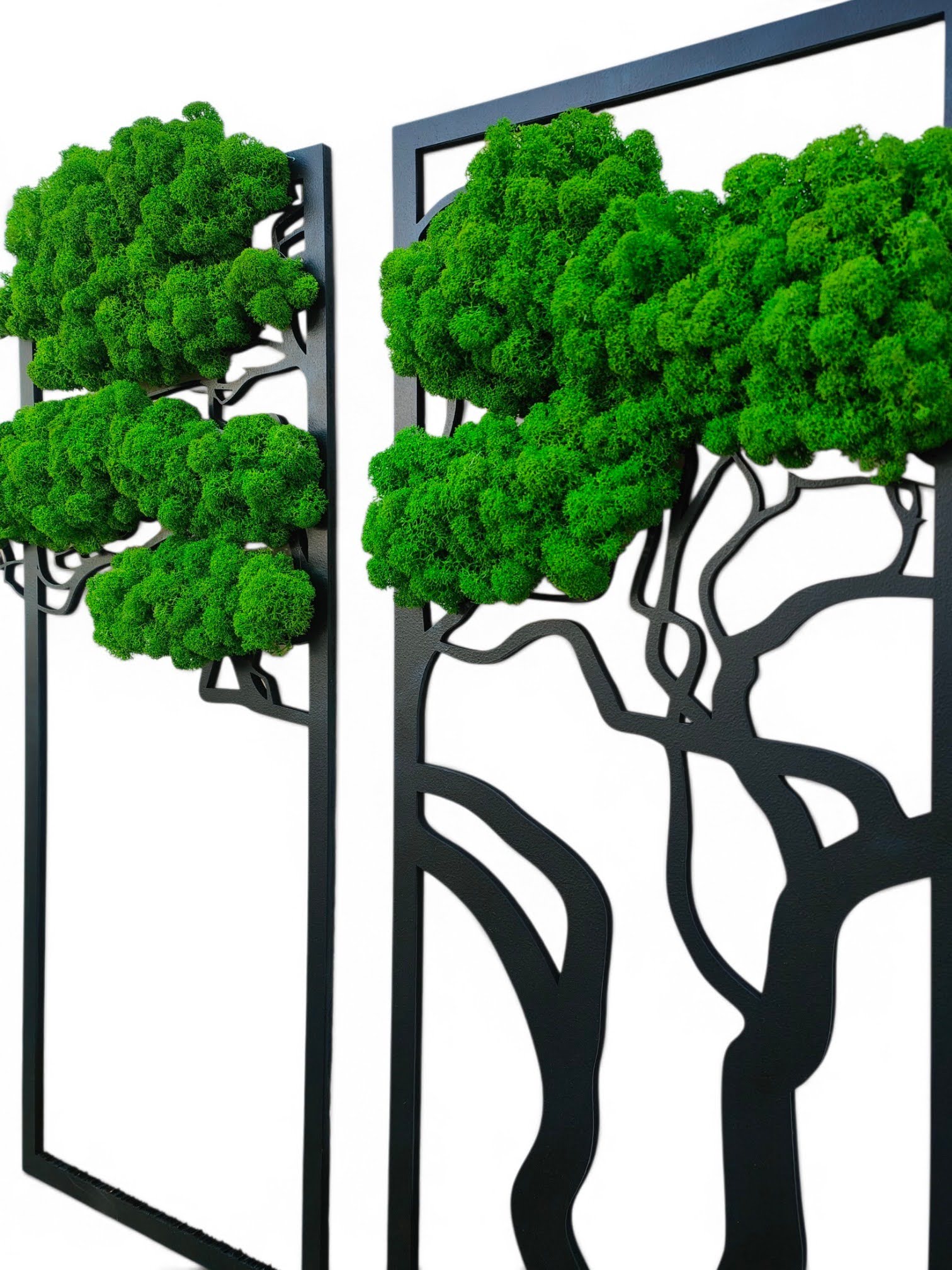 Tryptyk bonsai z mchem chrobotkiem – obraz rodzinny - obrazek 4