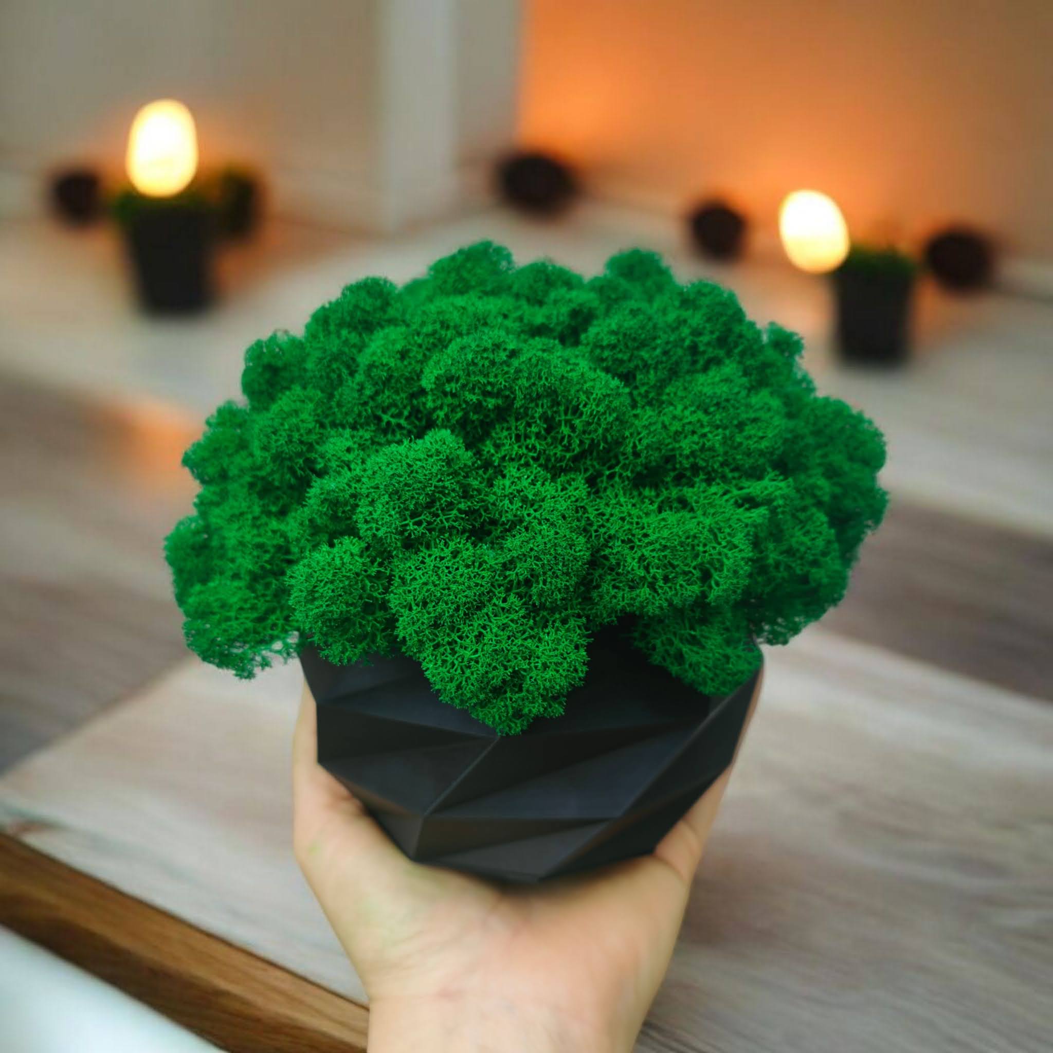 IMG20240207132505 (1)