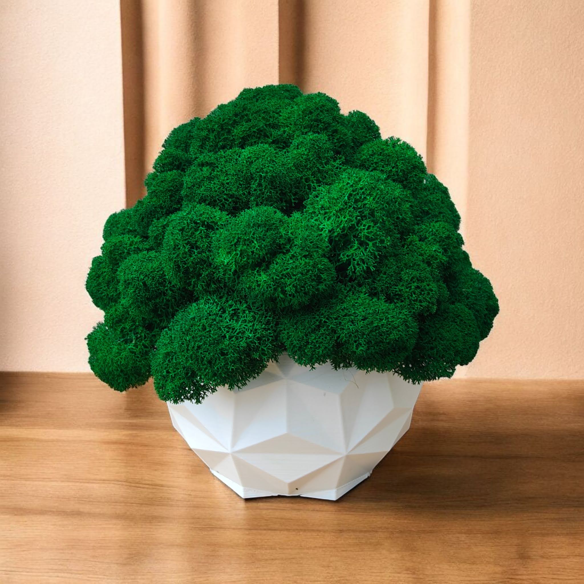 IMG20251202143050 (1)