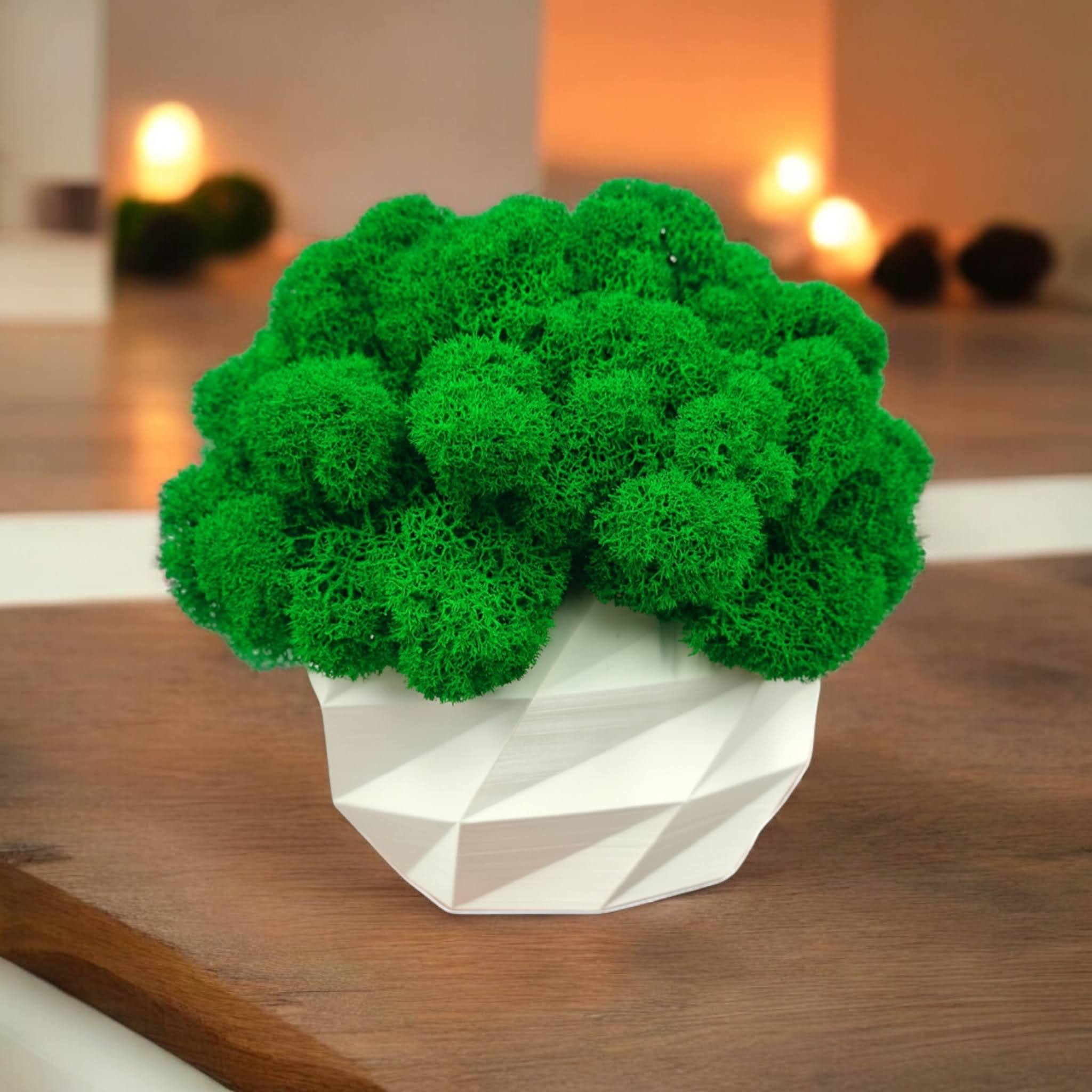 file_0000000091dc720aab85b121c8937421 (1) (2)